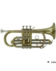 ROY BENSON CR 202