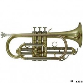 ROY BENSON CR 202
