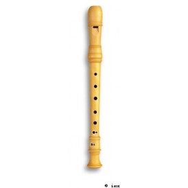 MOLLENHAUER DENNER 5022