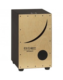 ROLAND EC-10 ELECTRO-ACOUSTIQUE