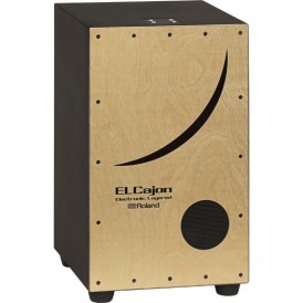 ROLAND EC-10 ELECTRO-ACOUSTIQUE