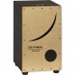 ROLAND EC-10 ELECTRO-ACOUSTIQUE