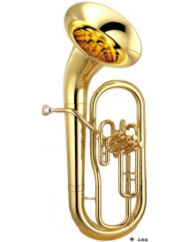 YAMAHA YEP211