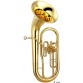 YAMAHA YEP211