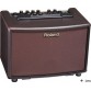 ROLAND AC-33RW