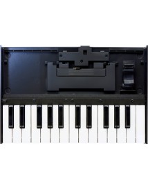 ROLAND K25M