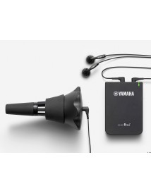 YAMAHA SB6X
