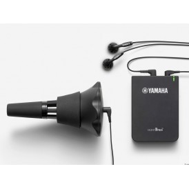 YAMAHA SB6X