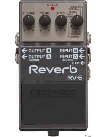 BOSS RV6