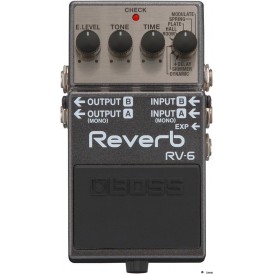 BOSS RV6