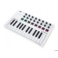 ARTURIA MINILAB MK2