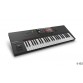 NATIVE INSTRUMENTS KOMPLETE KONTROL S49 MK2