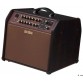 BOSS ACS PRO ACOUSTIC SINGER PRO
