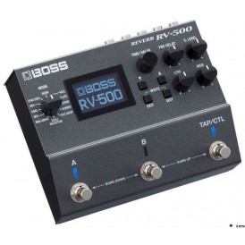 BOSS RV500