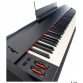 M AUDIO HARMMER 88