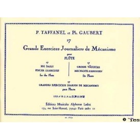 17 GRANDS EXERCICES JOURNALIERS DE MECANISME