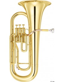 YAMAHA YEP201