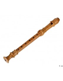 MOLLENHAUER DENNER 5107