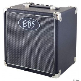 EBS SESSION 30