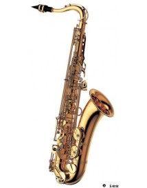 YANAGISAWA TW01