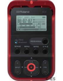 ROLAND R07