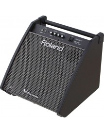 ROLAND PM200