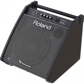 ROLAND PM200