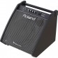 ROLAND PM200