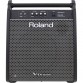 ROLAND PM200