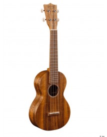 MARTIN C1K CONCERT