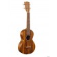 MARTIN C1K CONCERT