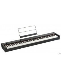 KORG D1